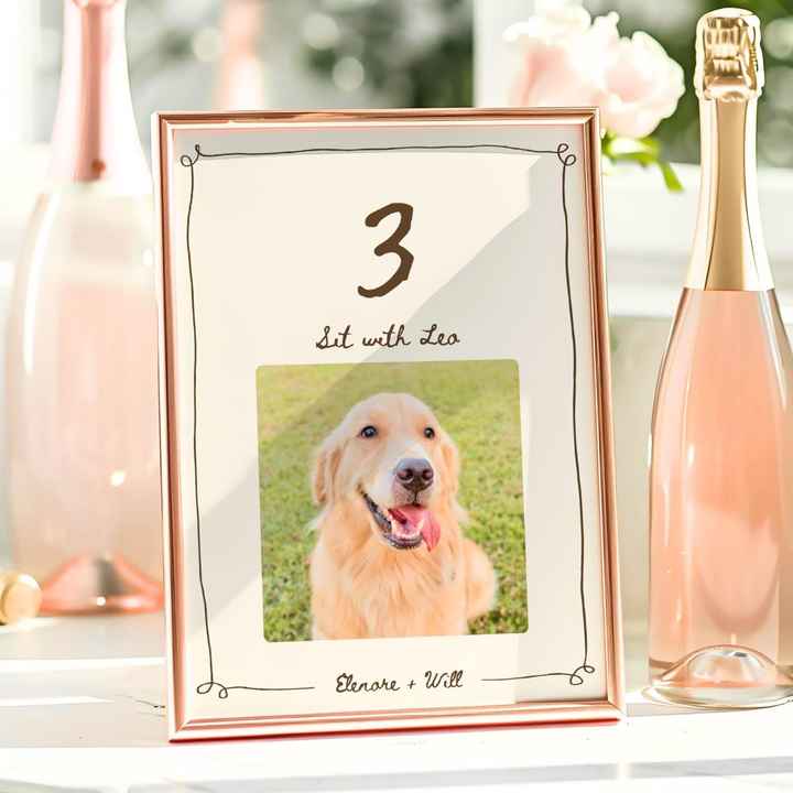 Ideas para incluir a vuestra mascota en la boda 🐾💍 - 1