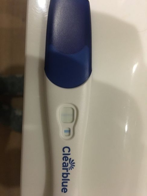 Futuras mamas julio 2019 - 1