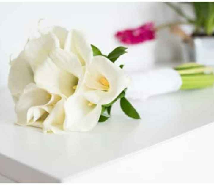 ¿Flores naturales o preservadas? - 2