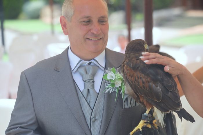 el aguila 