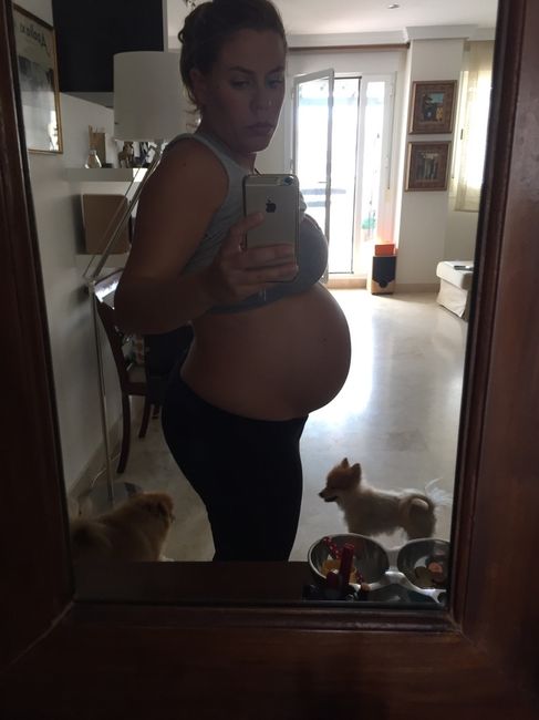 Mamis enero 2016 - 2