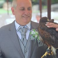 el aguila 