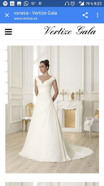  Vestido elegido, encargado, cancelado, reeligido, arrenpentido y definitivo - 3