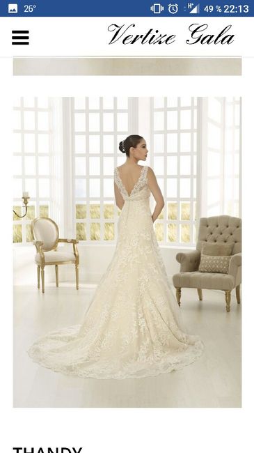  Vestido elegido, encargado, cancelado, reeligido, arrenpentido y definitivo - 10