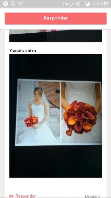  Necesito ayuda con el ramo - 2