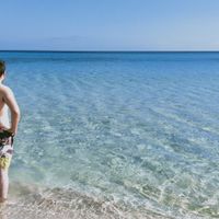 Baleares o canarias - 2
