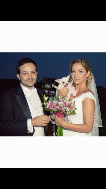 ¿llevarías a tu mascota a tu boda? - 1