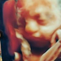 Mamis enero 2016 - 1