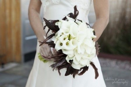 Ramo plumas marron