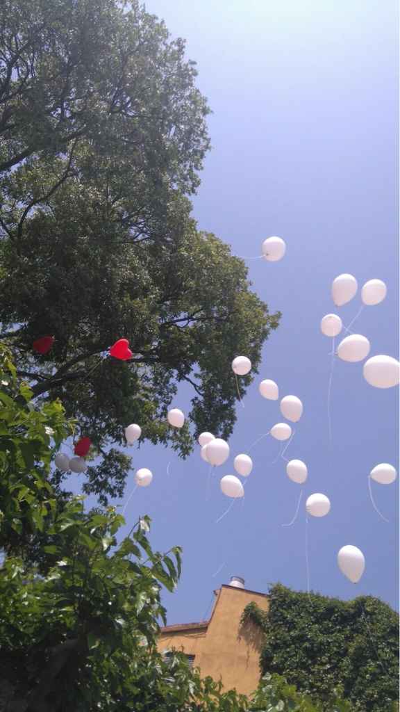 Donde comprar globos biodegradables para la suelta de globos.. - 1