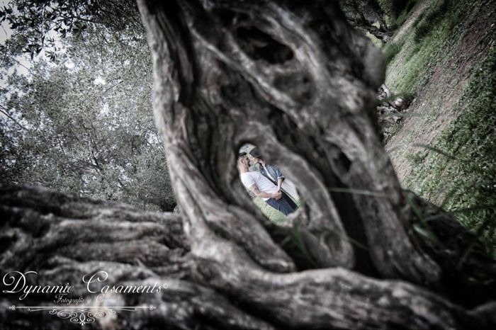 Fotografo - 5