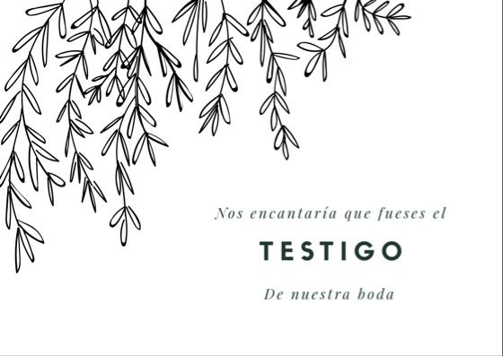 Ayudantes y testigos - 2