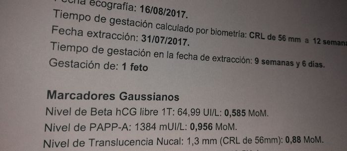 Porcentaje de la proteina hcg y la proteina papp-pa - 1