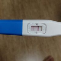 Test de embarazo, positivo? - 1
