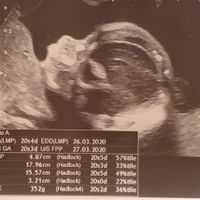 Mamas Marzo 2020 - 1