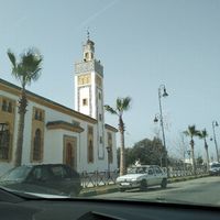 a 98 días - 3