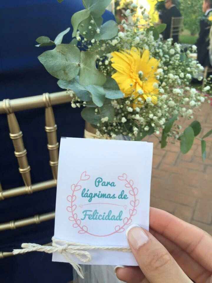 Lágrimas de felicidad - 3