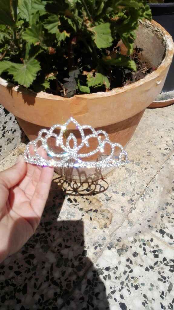 Ya llegó mi tiara... - 5