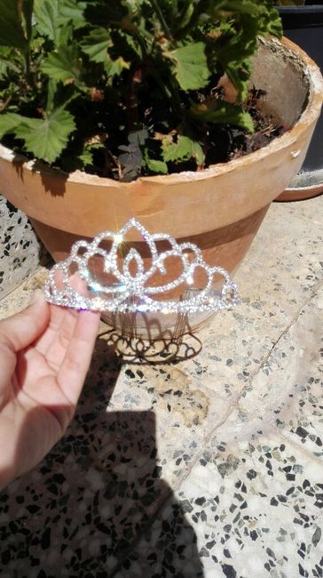 Ya llegó mi tiara... - 5