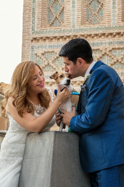 ¿Perro en la boda? ¿Sí o no? 1