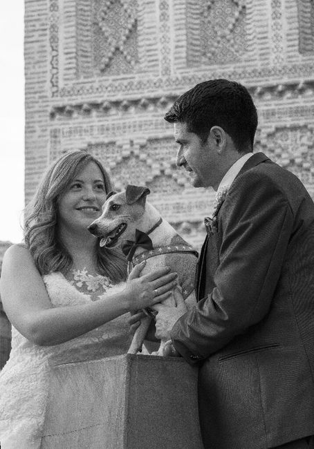 ¿Perro en la boda? ¿Sí o no? 4