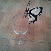Mariposas de agradecimiento - 1