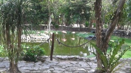 Riviera maya agosto 2014 - 3