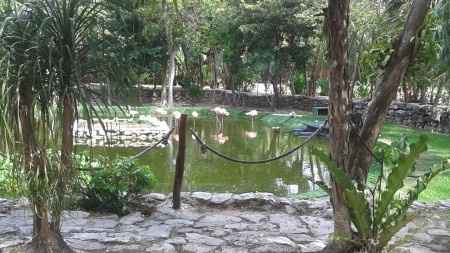 Riviera maya agosto 2014 - 3