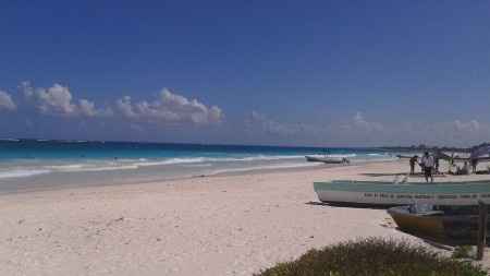 Riviera maya agosto 2014 - 4