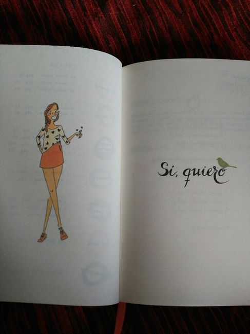 Diario de la novia - 2