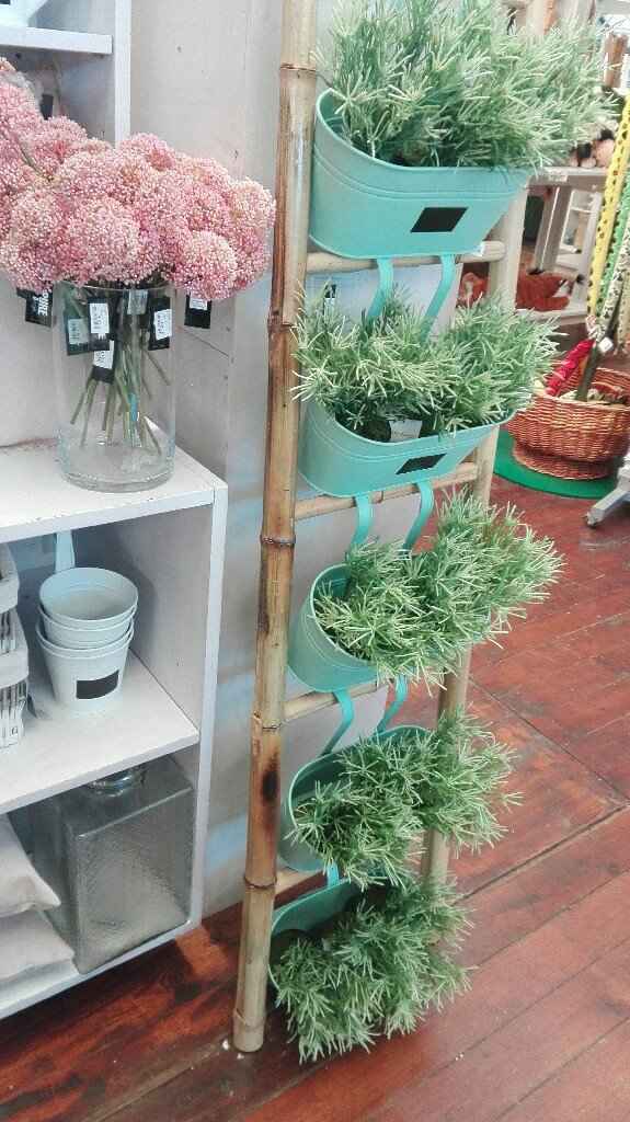  He vuelto a jardiland y además bordas! - 3