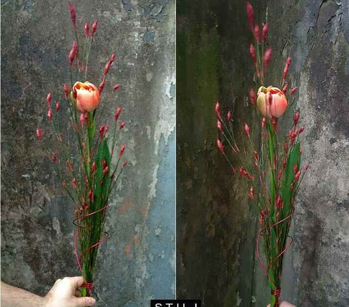  Flores flores y más flores - 11