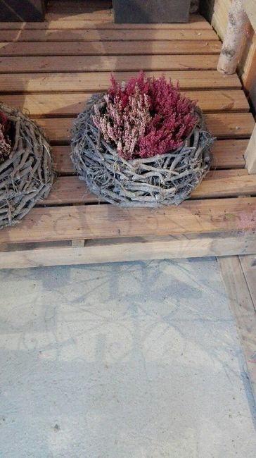  He vuelto a jardiland y además bordas! - 22