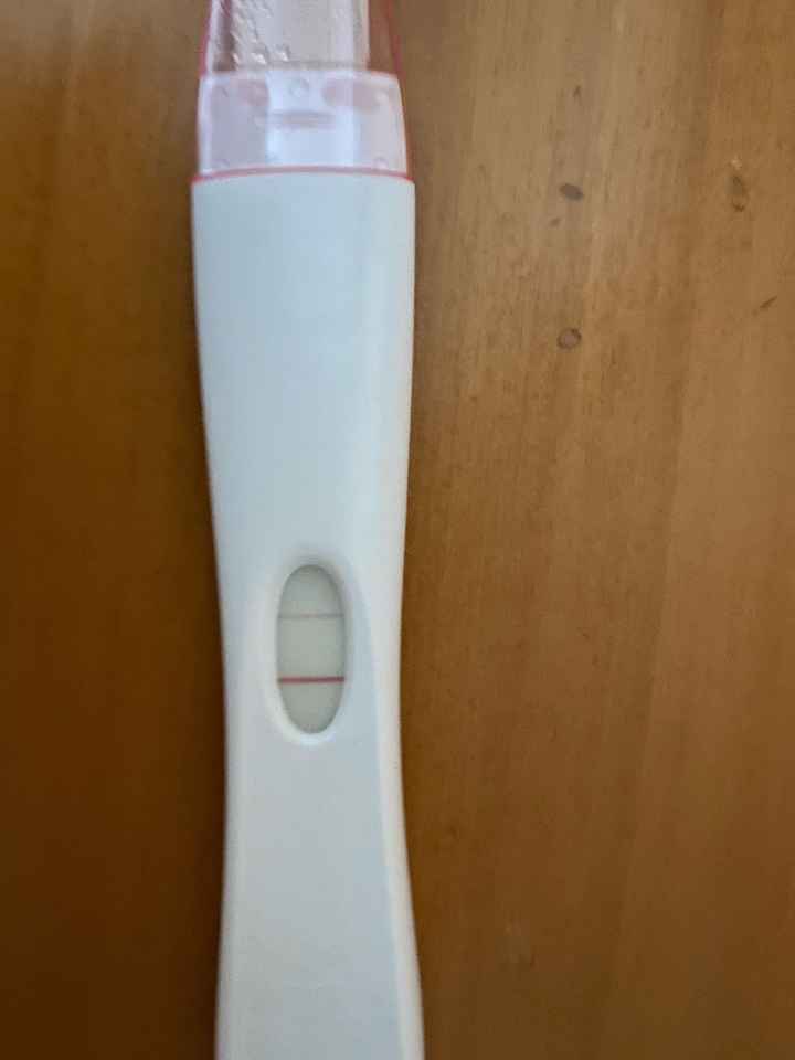 Buscadoras febrero 2021 💜👶🏻✨ - 1
