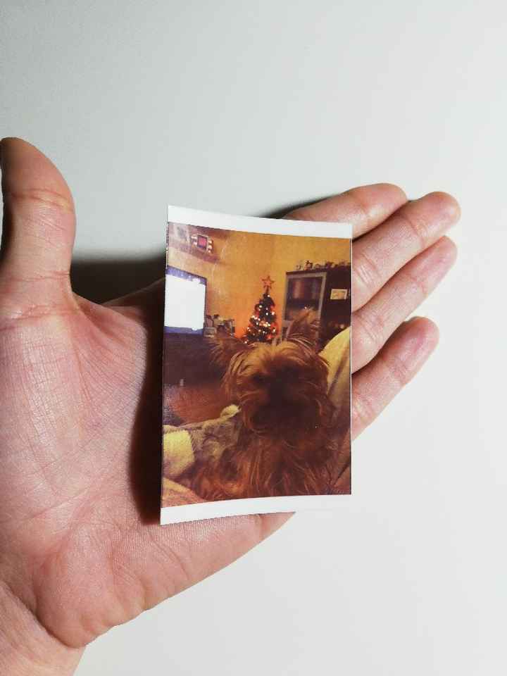 Dudas polaroid en Photocall boda - 1