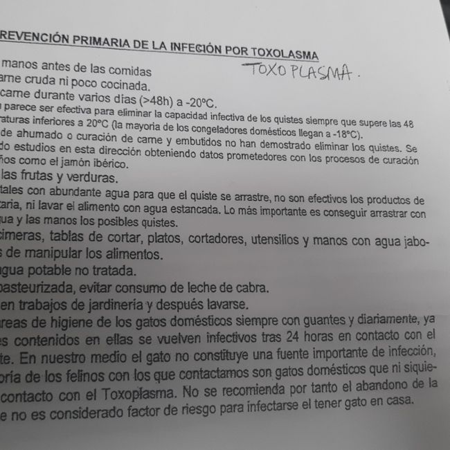 Futuras mamás diciembre 2021 ☃️ - 1
