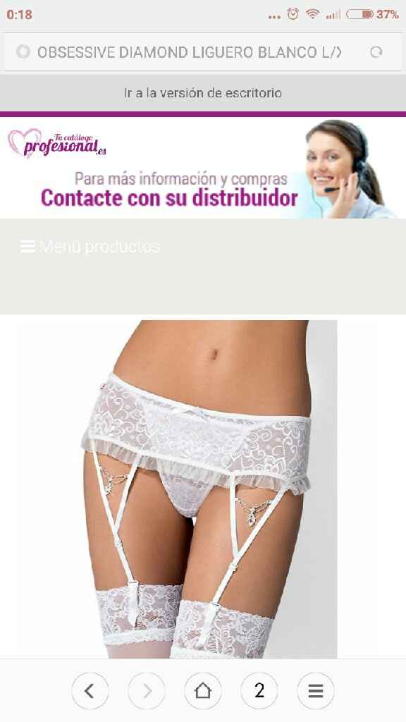 Lencería - 1