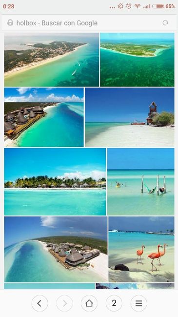 Necesito ayuda con las excursiones de ny y riviera - 1