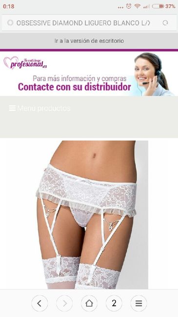 Lencería - 1