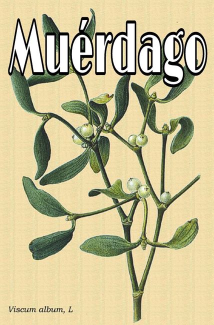 Mis meseros - 4
