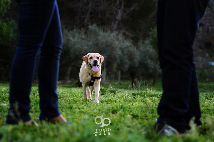 preboda