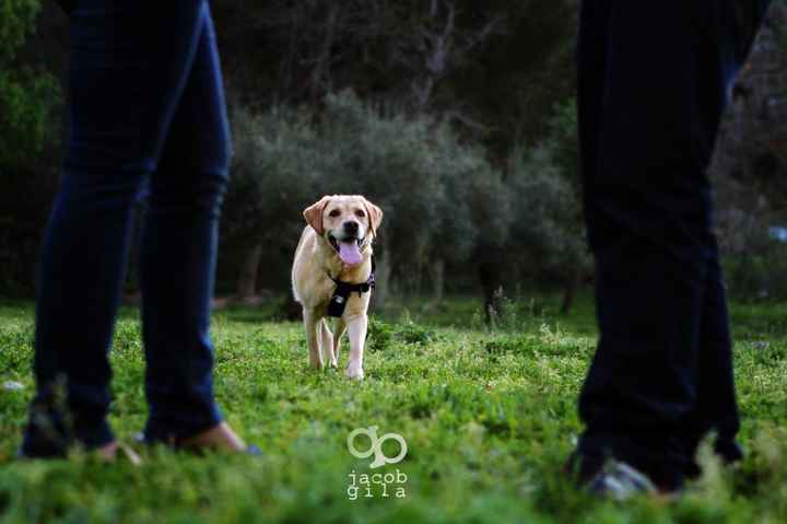 preboda