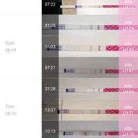 test Ovulación positivos todos los Días? - 1
