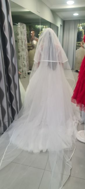 Prueba de vestido con velo - 2
