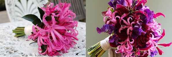 tipos de flores para ramos de novia - 30