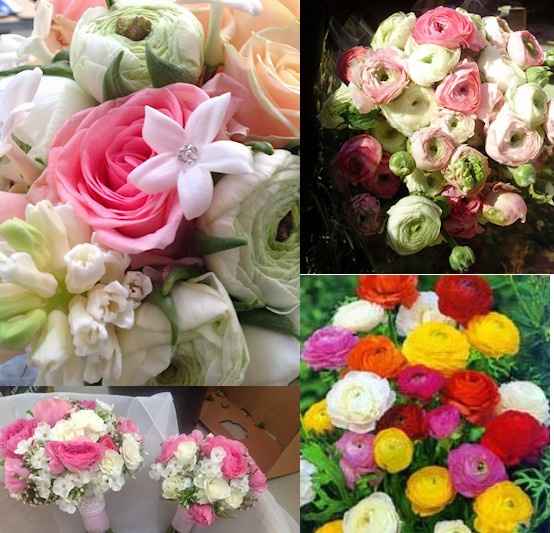 tipos de flores para ramos de novia - 35