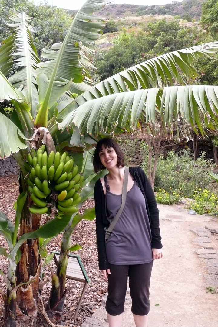 Platanera
