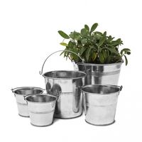 cubos