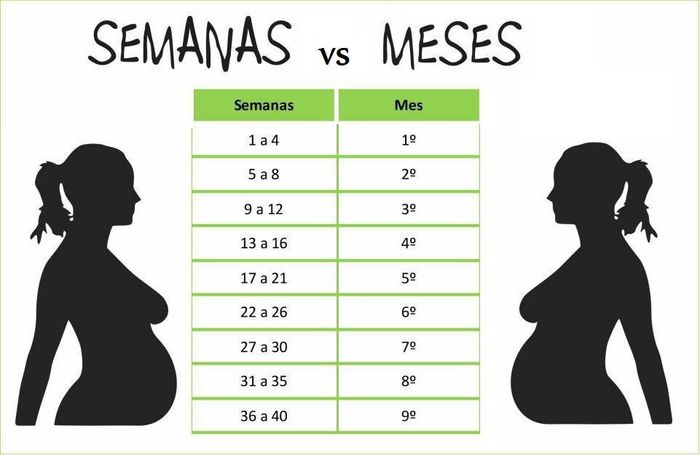 semanas vs meses