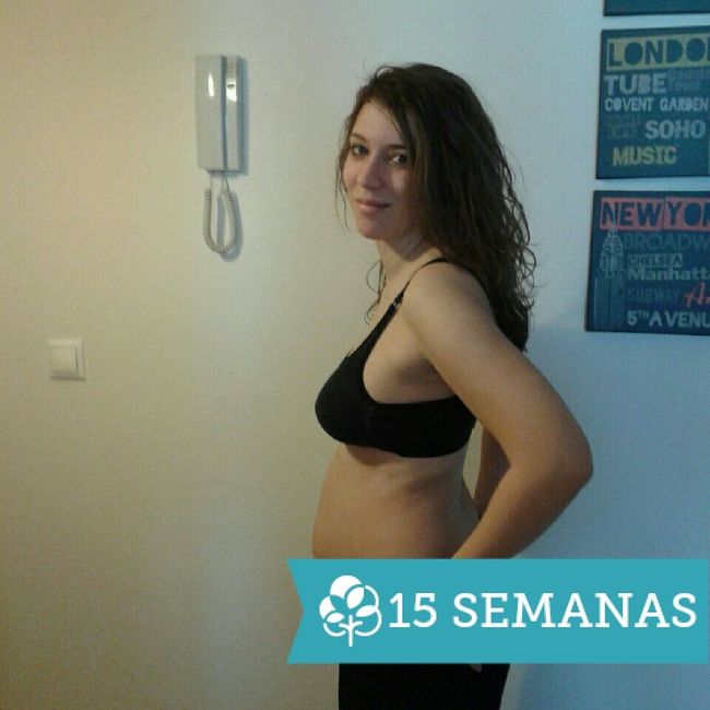 15 semanas